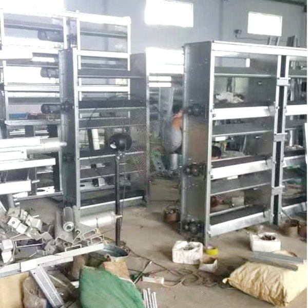 肉雞全自動清糞機(jī) (9).jpg