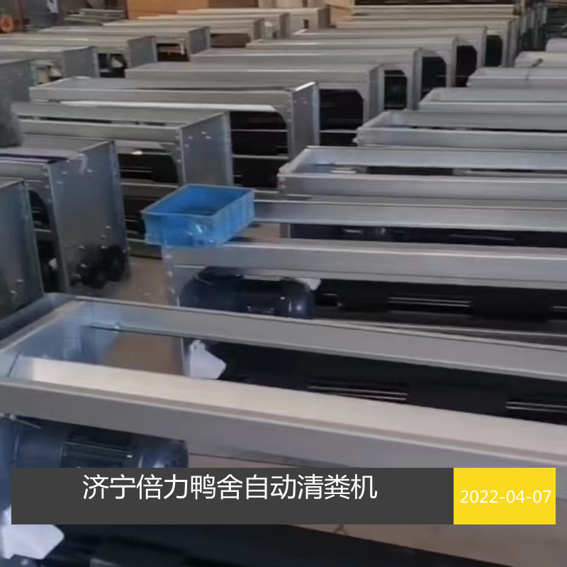 鴨舍自動清糞設(shè)備